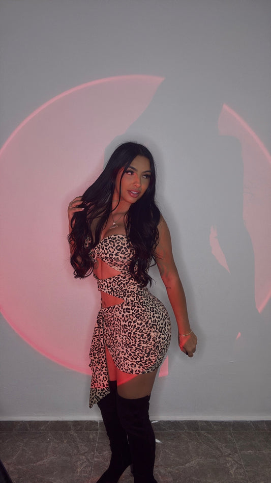 CHEETAH MINI